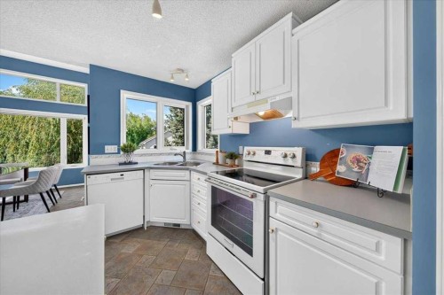 232 Douglas Glen Close Se, Calgary, AB - Indoor Photo Showing Kitchen With Double Sink