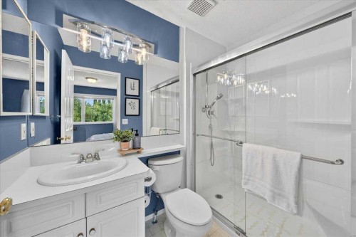 232 Douglas Glen Close Se, Calgary, AB - Indoor Photo Showing Bathroom