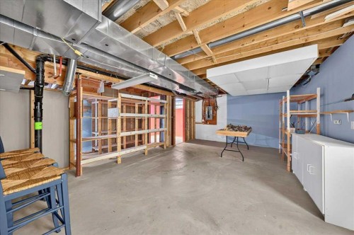 232 Douglas Glen Close Se, Calgary, AB - Indoor Photo Showing Basement