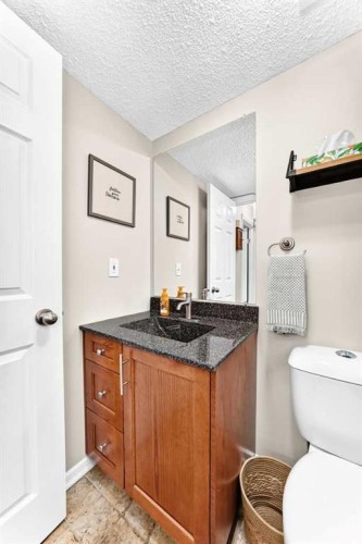 10416 Mapleridge Crescent Se, Calgary, AB - Indoor Photo Showing Bathroom