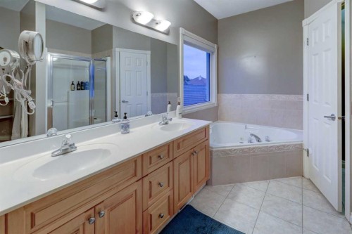 40 Arbour Estates Green Nw, Calgary, AB - Indoor Photo Showing Bathroom