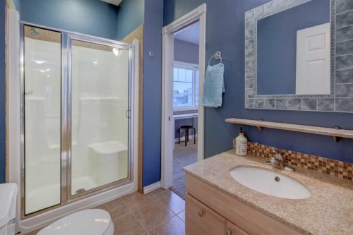 40 Arbour Estates Green Nw, Calgary, AB - Indoor Photo Showing Bathroom