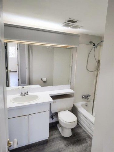 206-101 Big Hill Way Se, Airdrie, AB - Indoor Photo Showing Bathroom