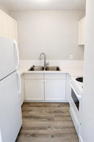 206-101 Big Hill Way Se, Airdrie, AB - Indoor Photo Showing Kitchen With Double Sink