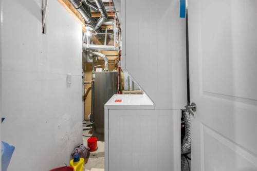 43 Covington Close Ne, Calgary, AB - Indoor Photo Showing Laundry Room