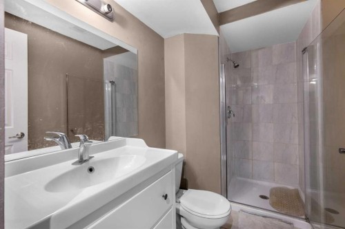 43 Covington Close Ne, Calgary, AB - Indoor Photo Showing Bathroom