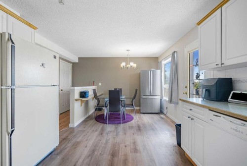 43 Covington Close Ne, Calgary, AB - Indoor Photo Showing Kitchen