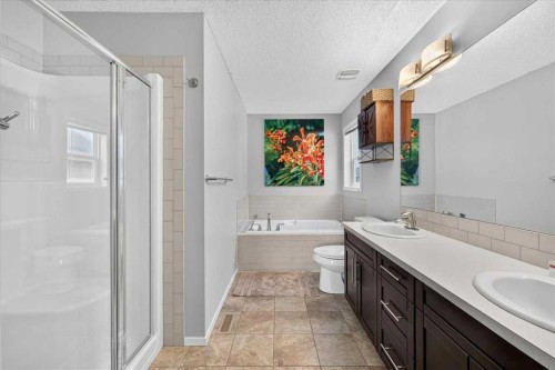 174 Mahogany Heights Se, Calgary, AB - Indoor Photo Showing Bathroom