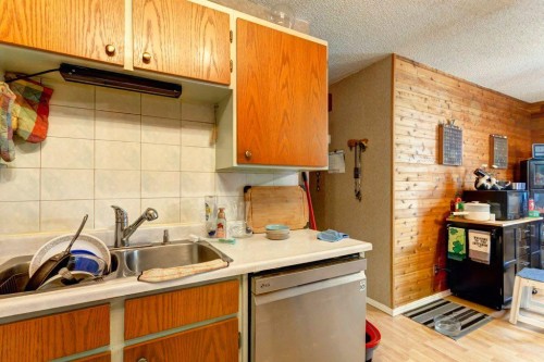 2009 41 Street Se, Calgary, AB - Indoor Photo Showing Kitchen With Double Sink
