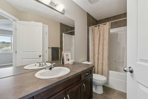 161 Heritage Bay, Cochrane, AB - Indoor Photo Showing Bathroom