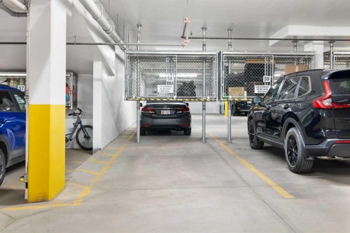 219-8355 19 Avenue Sw, Calgary, AB - Indoor Photo Showing Garage