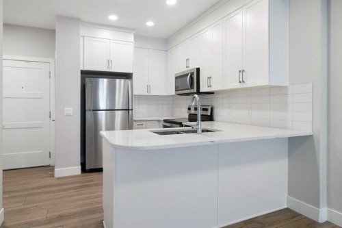 219-8355 19 Avenue Sw, Calgary, AB - Indoor Photo Showing Kitchen With Double Sink With Upgraded Kitchen