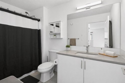 48 Willow Green Sw, Airdrie, AB - Indoor Photo Showing Bathroom