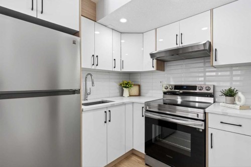48 Willow Green Sw, Airdrie, AB - Indoor Photo Showing Kitchen With Upgraded Kitchen