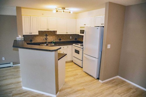 318-3000 Citadel Meadow Point Nw, Calgary, AB - Indoor Photo Showing Kitchen With Double Sink