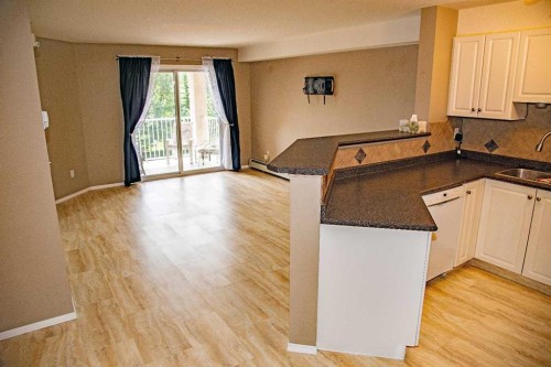 318-3000 Citadel Meadow Point Nw, Calgary, AB - Indoor Photo Showing Kitchen