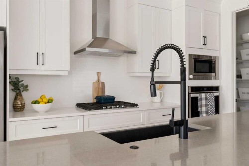 203 Cranbrook Park Se, Calgary, AB - Indoor Photo Showing Kitchen With Upgraded Kitchen