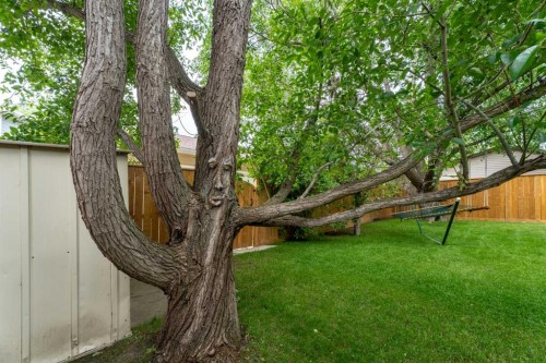 15 Lock Crescent, Okotoks, AB - Outdoor
