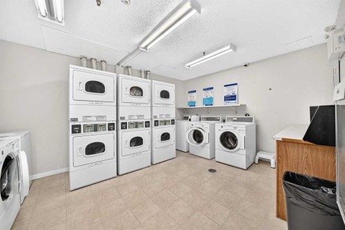 110-525 56 Avenue Sw, Calgary, AB - Indoor Photo Showing Laundry Room