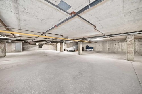 110-525 56 Avenue Sw, Calgary, AB - Indoor Photo Showing Garage