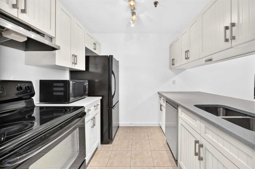110-525 56 Avenue Sw, Calgary, AB - Indoor Photo Showing Kitchen With Double Sink