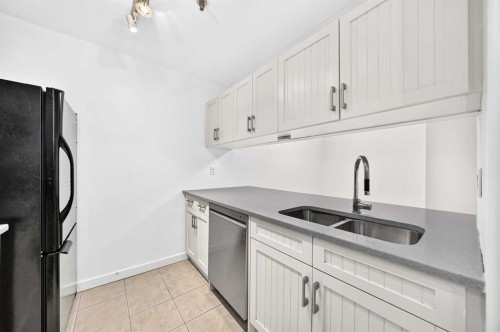 110-525 56 Avenue Sw, Calgary, AB - Indoor Photo Showing Kitchen With Double Sink