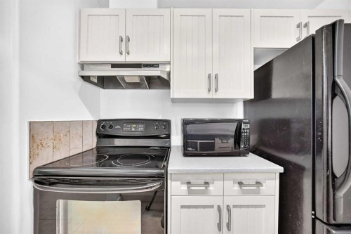 110-525 56 Avenue Sw, Calgary, AB - Indoor Photo Showing Kitchen