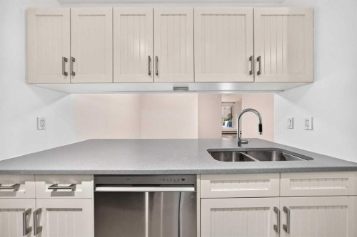 110-525 56 Avenue Sw, Calgary, AB - Indoor Photo Showing Kitchen With Double Sink