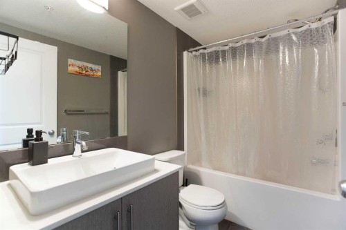 3302-302 Skyview Ranch Drive Ne, Calgary, AB - Indoor Photo Showing Bathroom