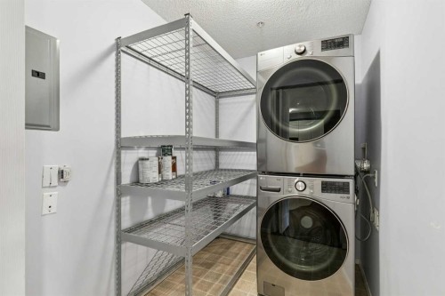 209-1000 Citadel Meadow Point Nw, Calgary, AB - Indoor Photo Showing Laundry Room