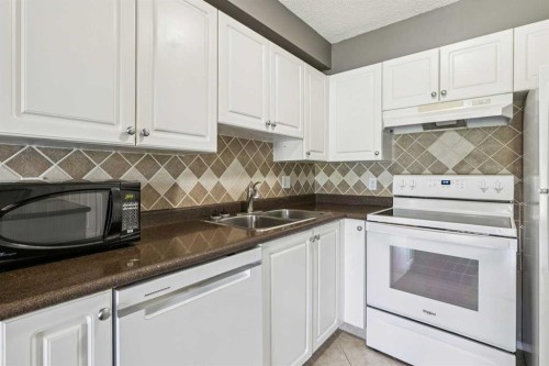 209-1000 Citadel Meadow Point Nw, Calgary, AB - Indoor Photo Showing Kitchen With Double Sink