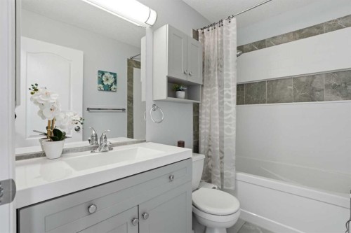 218 Bridlewood Place Sw, Calgary, AB - Indoor Photo Showing Bathroom