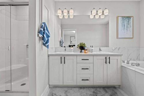 69 Carringvue Park Nw, Calgary, AB - Indoor Photo Showing Bathroom