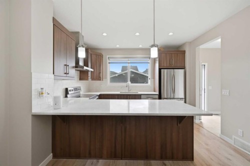 25 Red Sky Way Ne, Calgary, AB 