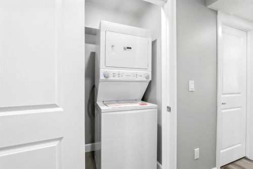 733 Windrow Manor Sw, Airdrie, AB - Indoor Photo Showing Laundry Room