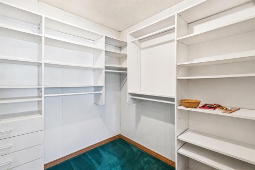 4819 Rundlewood Drive Ne, Calgary, AB - Indoor With Storage