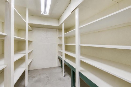 4819 Rundlewood Drive Ne, Calgary, AB - Indoor With Storage