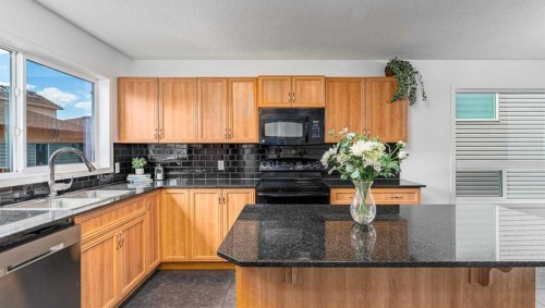 15 Panora Square Nw, Calgary, AB - Indoor Photo Showing Kitchen With Double Sink