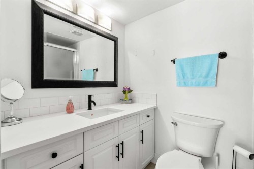207-2425 90 Avenue Sw, Calgary, AB - Indoor Photo Showing Bathroom