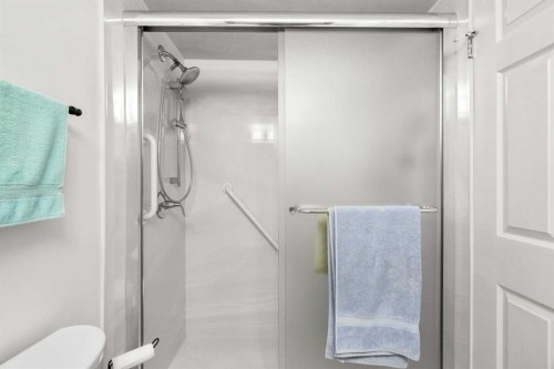 207-2425 90 Avenue Sw, Calgary, AB - Indoor Photo Showing Bathroom