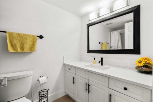 207-2425 90 Avenue Sw, Calgary, AB - Indoor Photo Showing Bathroom