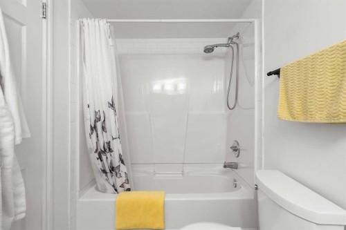 207-2425 90 Avenue Sw, Calgary, AB - Indoor Photo Showing Bathroom
