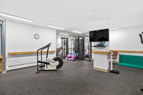 207-2425 90 Avenue Sw, Calgary, AB - Indoor Photo Showing Gym Room