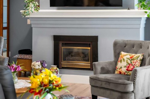 207-2425 90 Avenue Sw, Calgary, AB - Indoor Photo Showing Living Room With Fireplace