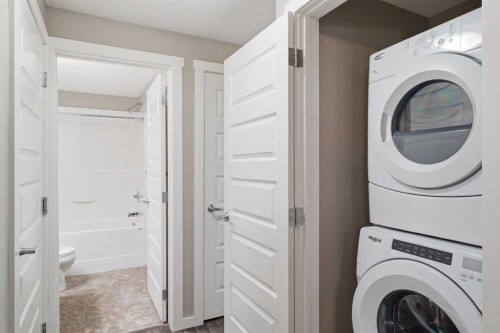 550 Mckenzie Towne Close Se, Calgary, AB - Indoor Photo Showing Laundry Room