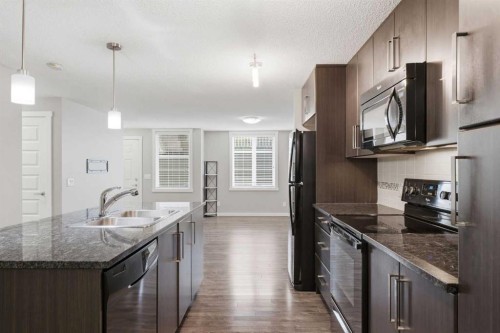 550 Mckenzie Towne Close Se, Calgary, AB - Indoor Photo Showing Kitchen With Double Sink With Upgraded Kitchen