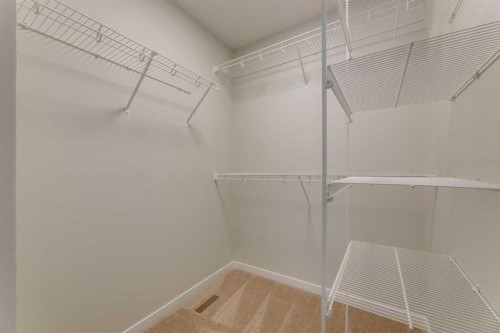 32 Ellen Lane, Crossfield, AB - Indoor With Storage