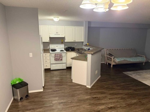 310-60 Lawford Avenue, Red Deer, AB - Indoor Photo Showing Kitchen