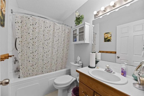 1514 Mary Place, Didsbury, AB - Indoor Photo Showing Bathroom