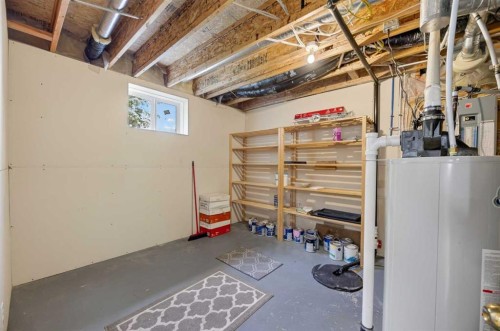 1514 Mary Place, Didsbury, AB - Indoor Photo Showing Basement